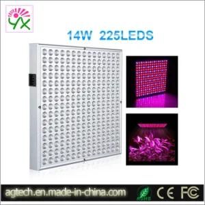 Made in China 14W LED Panel Light Grow Light