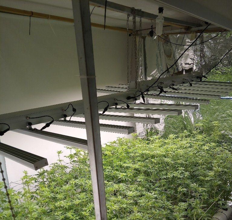 Full Spectrum High Power Adjustable Tri-Proof Light High Bay Linear Flexible Strip Light 800W LED Grow Light with SAA