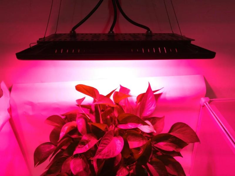 150W LED Grow Light
