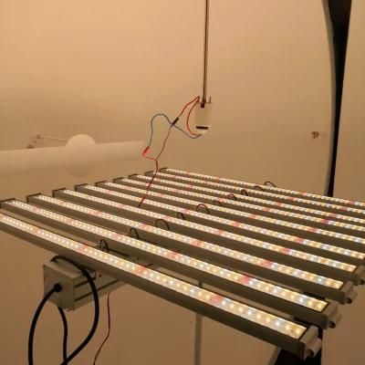 1000W Plant Light China Manufactory 2020 Most Powerful 1000watt Full Spectrum LED Grow Light