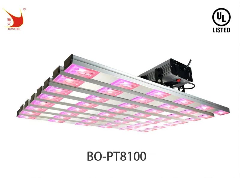 1000W LED Grow Light with UL Certification for The Farm Flower Field