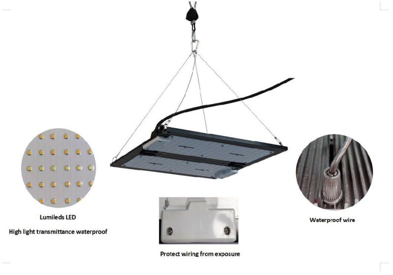 Custom Waterproof Full Spectrum High Bay PAR Panel Grow Lamp LED Plant Light with SAA, RoHS