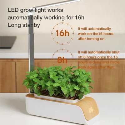 Hydroponics Kitchen Kit Indoor Growing Systems Mini Home Garden with LED Plant Grow Light
