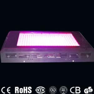 LED Grow Light 600W, 288PCS LED, AC85-265V (CD-GL600W-RB)