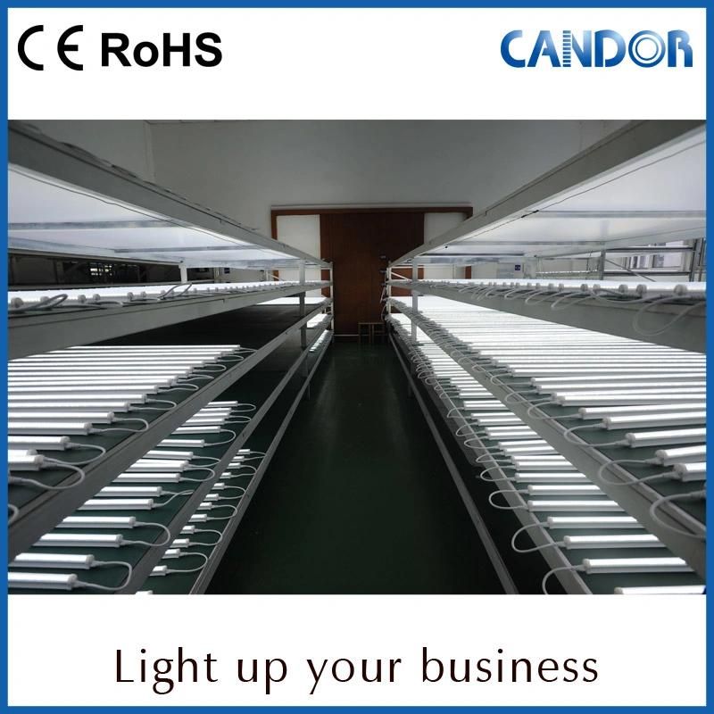 Delicate and Small LED Shelf Light with Ce and RoHS Certified