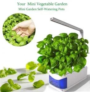 Colorful Hydroponic LED Growing System Mini Smart Garden Desktop LED Plant Grow Light