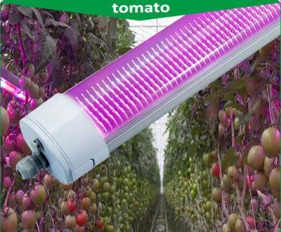 Wholesale Distributor 150W IP65 LED Grow Light, LED Tri Proof Light, LED Light Lamp, LED Light Bar