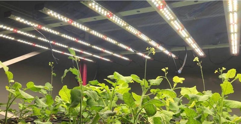 40W Wholesale LED Gorw Light Mircogreen Plant Grow Light for Vertical Farming