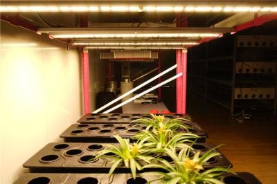 Factory Price 500W Hydroponic LED Grow Lights