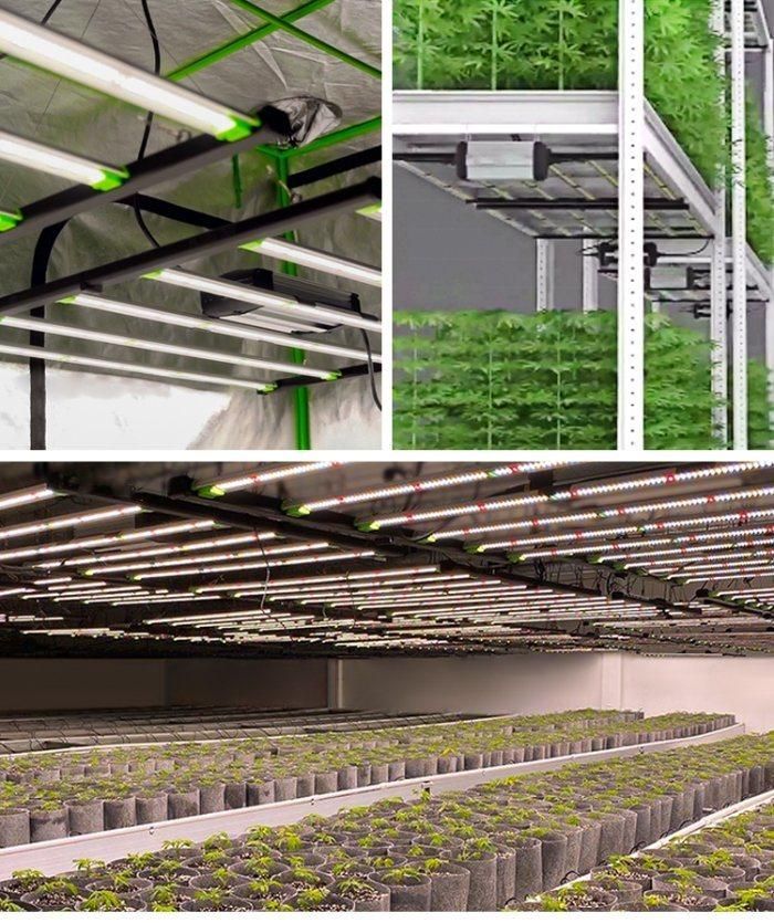 PRO LED 650W 1700e Weed Vertical Farming Adjustable Foldable LED Grow Lights