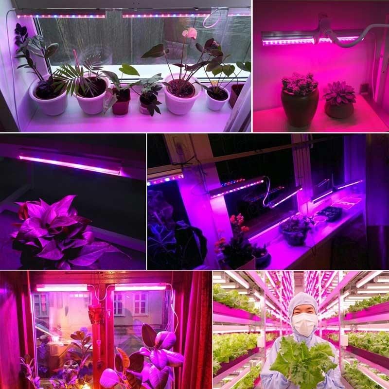 LED Plants Light 1200mm Fleshy Vegetables and Flowers Grow Light in Greenhouse T8 Lamps