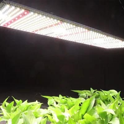 High Quality Panel Board LED Grow Light for Indoor Plant
