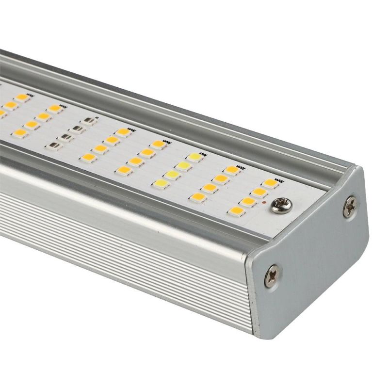 OEM/ODM 800W LED Grow Light Tent Supplier with UL Approve Home Grower Hobby Grower Lighting