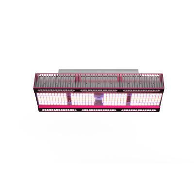 High Efficient 650W Grow Light Hydropoinc 1755ppfd LED Light for Plants