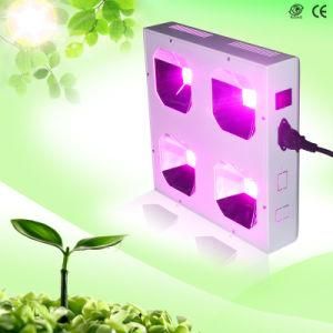 200W Full Spectrum LED Hydroponics Grow Lights with 50W COB