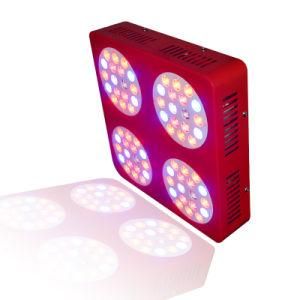200W Professional LED Grow Lighting for Indoor Plants