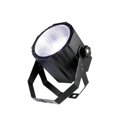 LED COB 100W PAR Light