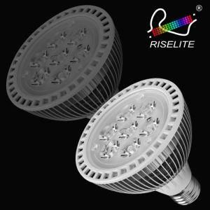 UL LED Light PAR38 2000lm