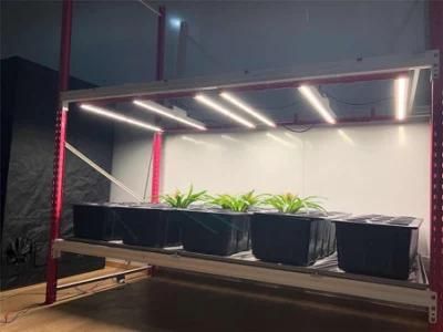 4X4, 5X5, 5X6 500W Hydroponic Lights