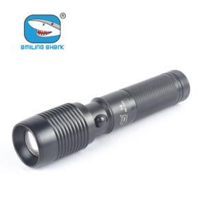 USA T6 CREE LED Flashlight Rechargeable Zoom Torch