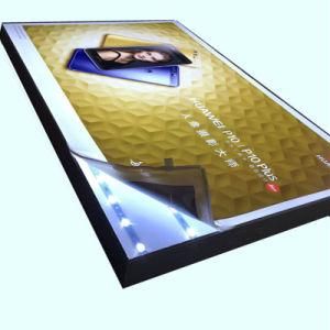 OEM High Quality LED Light Box Backlit Pet Film for Advertising