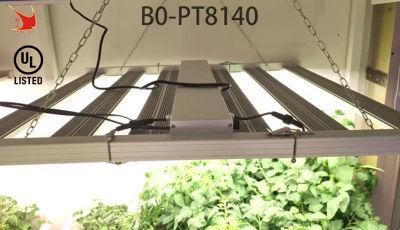 500W LED Growth Light with UL Certification for Vertical Farming