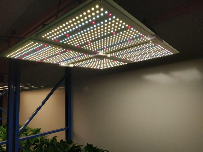 UL Certificate LED Grow Panel Light Samsumg 100W 200W 400W 600W Red for Indoor Farm