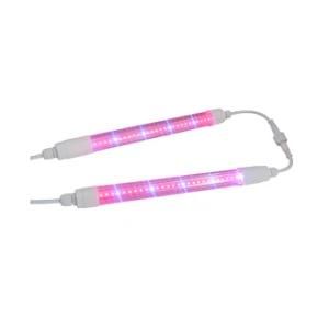 600W Grow Lights for Growing Seeds Hydroponic Lm301h Grow Light LED 800W 1000watt