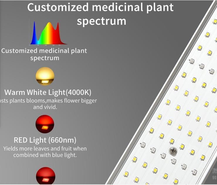 Waterproof LED Grow Panel Light Big Power Light Used for Plant Light 640watt