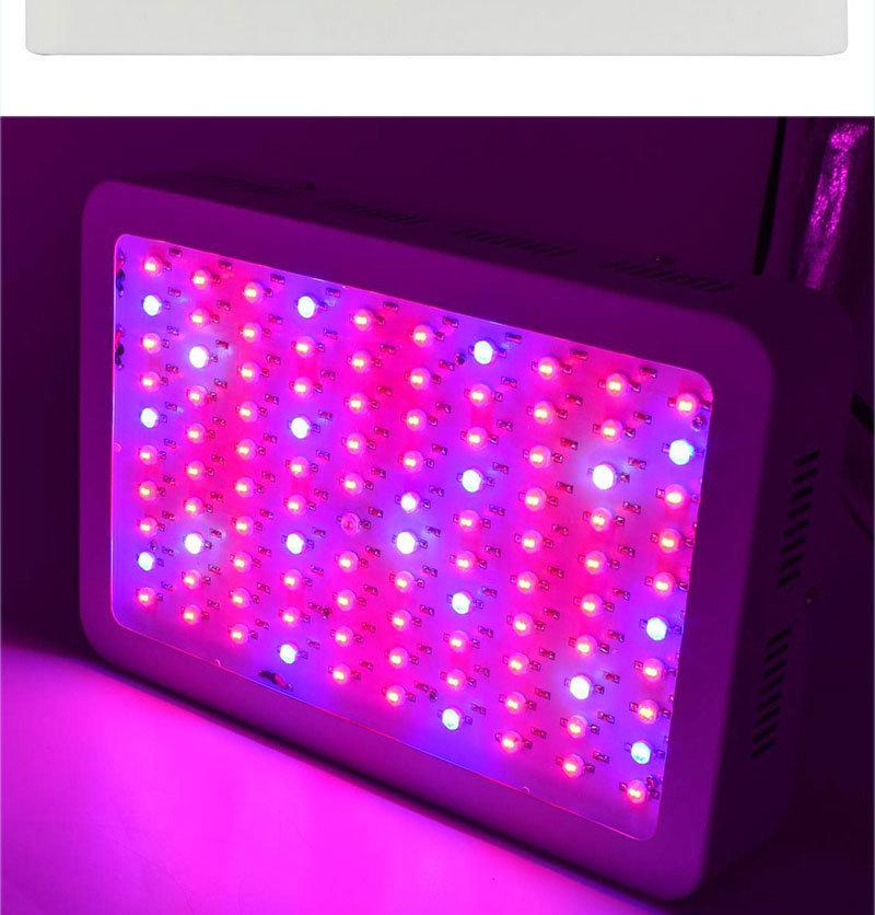 Lebekan Economic 1000W Greenhouse Using Full Spectrum Plant Fruit Green Vegetables Grow Bulbs Lamps LED Growing Light