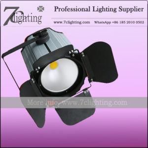200W COB LED PAR Light Aluminum LED Profile Light Warm White Cold White Optional