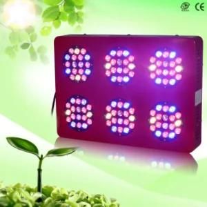 300watt Hydroponics Systems Agricultural GS-Gl-Znet6 LED Grow Light