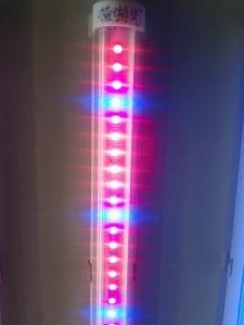 5W T8 LED Tube Grow Light (JN-T8-600-5W)