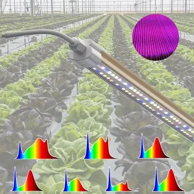 Samsung Strip Indoor Quantum High Power Horticulture Board Lamp Full Spectrum Growing Plant Wholesale LED Grow Light Pvisung Gavita