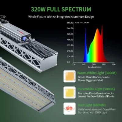 Greenhouse IP65 Waterproof Full Spectrum 320W Samsung Lm301b Osram 660nm LED Grow Light for Indoor Medical Plants