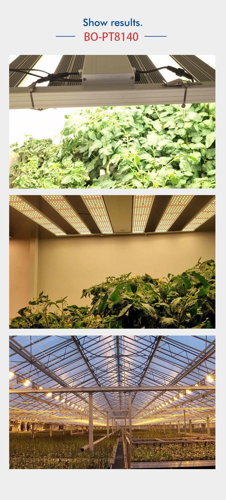 Bonfire Top2 Samsung 500W LED Grow Light for Vertical Farming
