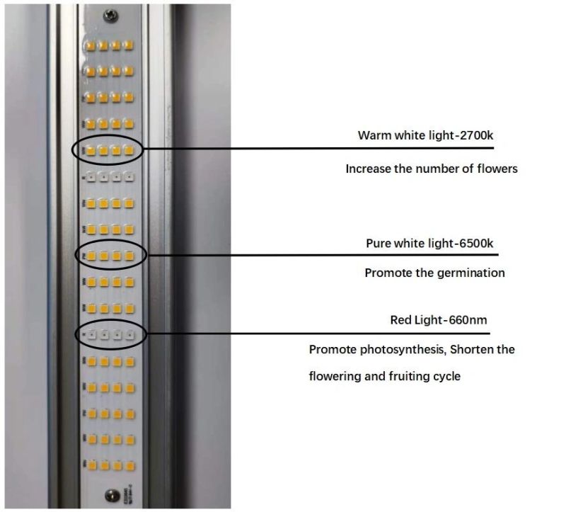 Dimmable 800W LED Grow Light for Indoor Plants, Indoor Farming Horticulture Light with FCC, RoHS