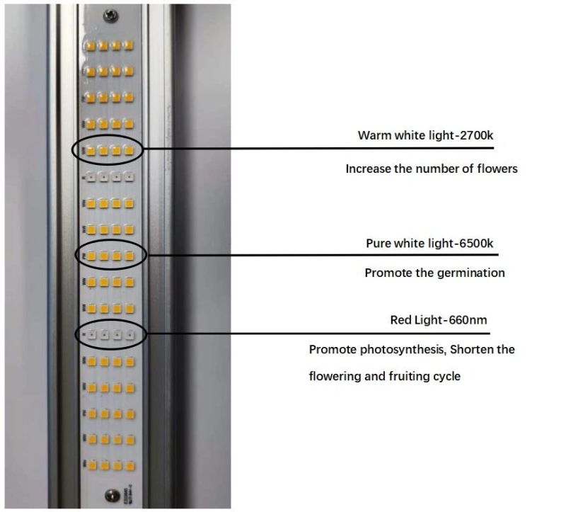 Dimmable 800W LED Grow Light for Indoor Plants, Indoor Farming Horticulture Light with FCC, RoHS