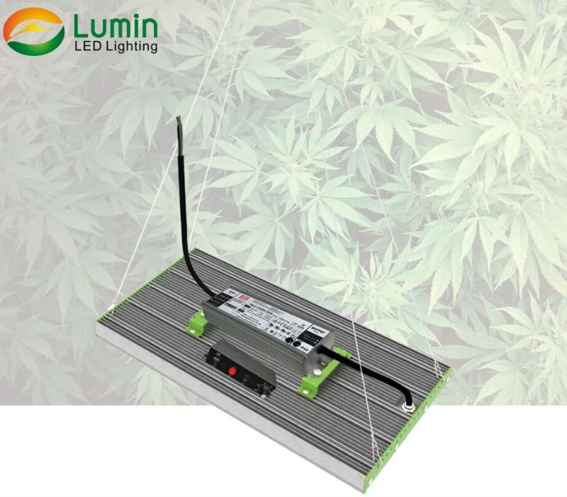 Ilummini 320W LED Grow Light 3500K 660nm UV with Knob Dimming