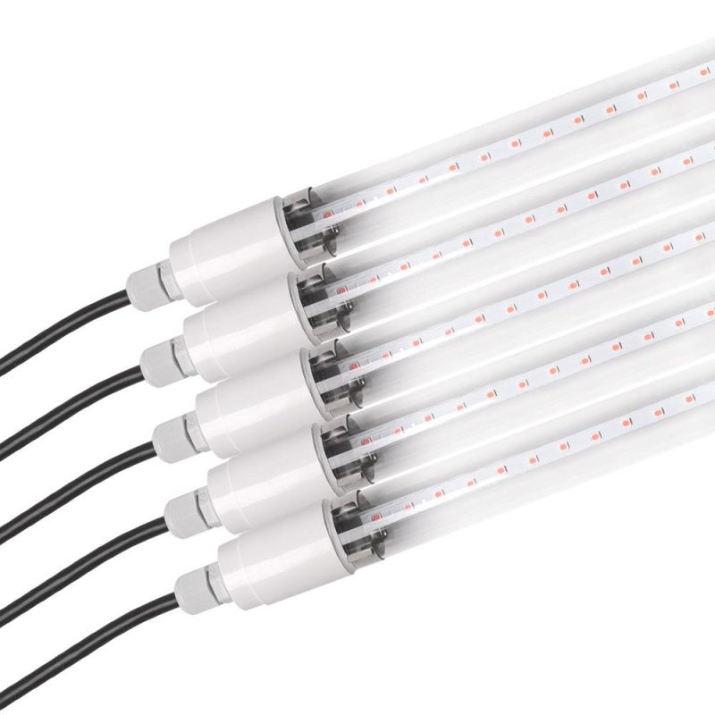Lighting Factory for IP65 T8 LED Tube Light with Quick Delivery