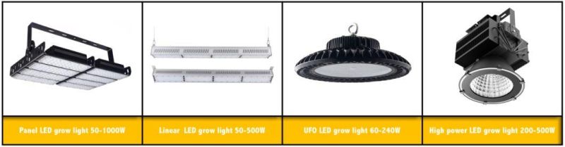 Linear High Bay Warehouse Light 400W LED