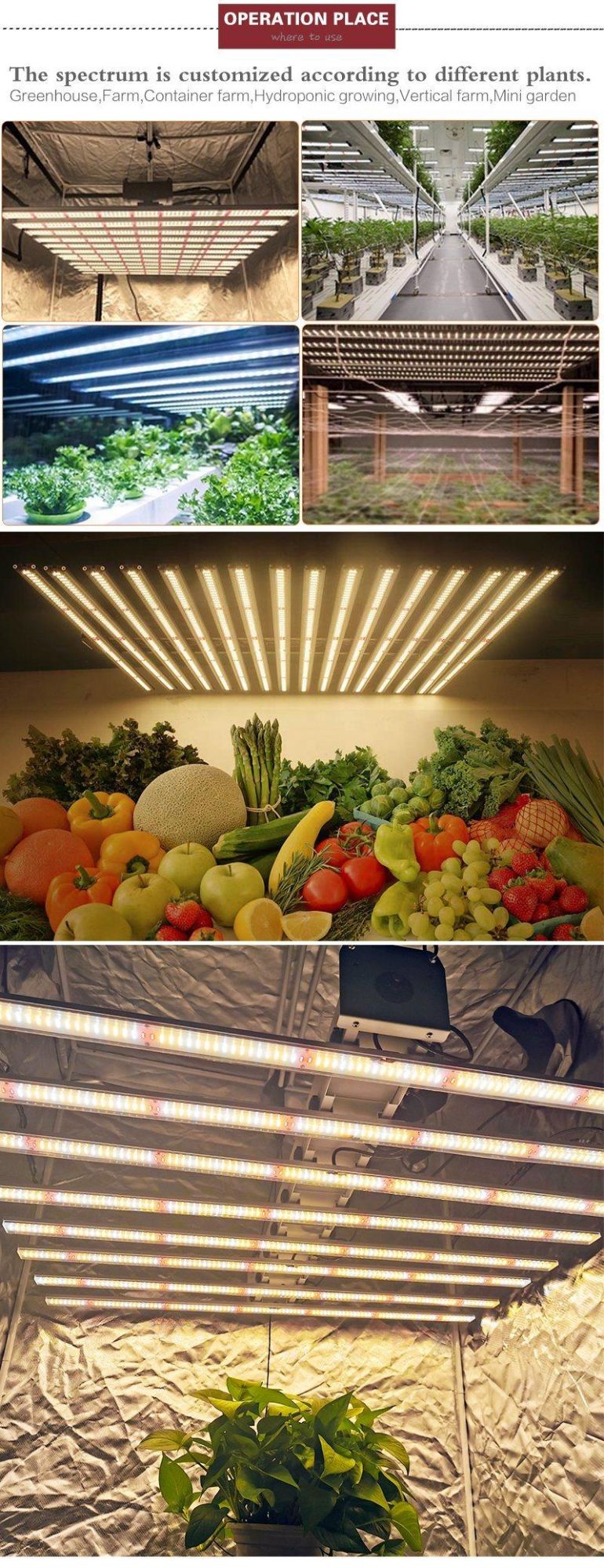 Hydroponic Greenhouse 600W 800W Full Spectrum LED Grow Light for Indoor Plants