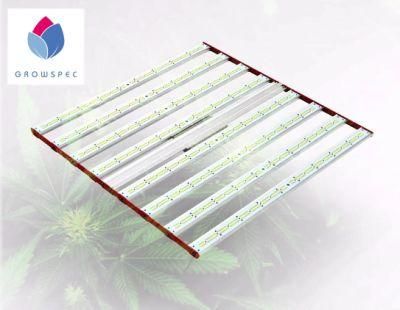 Growspec Spider Farmer Sf 1000 LED Grow Light 1000W LED Light for Clones