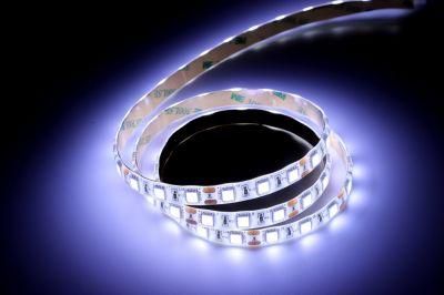 Auto Part -Bus Interior Lights, LED Light Beads, Light Belt