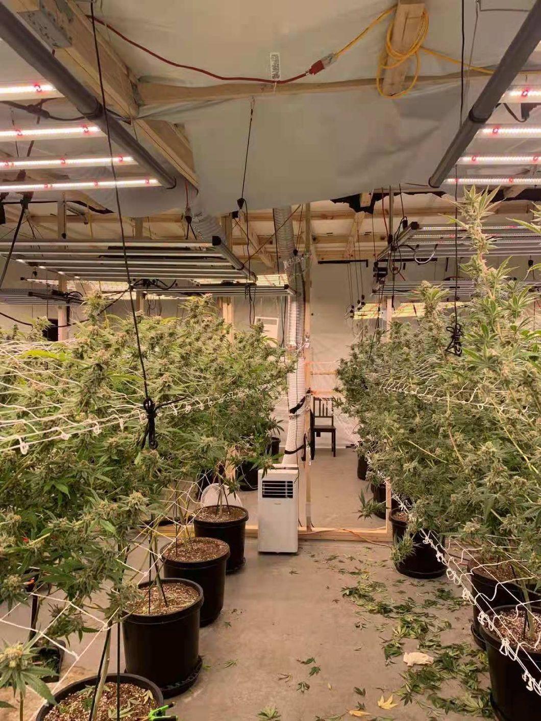 ETL/CE Approved High Quality as Gavita Full Spectrum Commercial LED Plant Grow Panel Light 800W for Indoor Plants