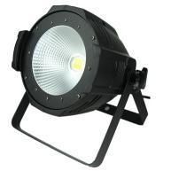 COB 100W Indoor PAR Light