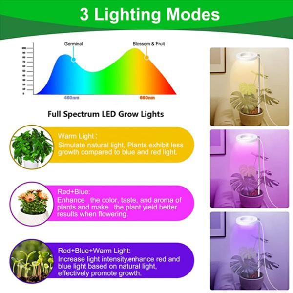 Full Spectrum Adjustable Height 10W Ground Spikes Type W/Automatic Timing 3/9/12h/10 Dimming Levels Indoor LED Grow Light Suitable for Small and Potted Plants