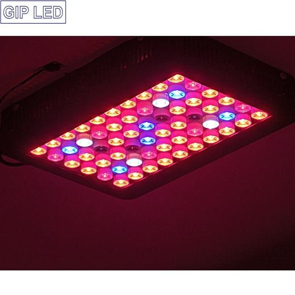 Hydroponic System 300W LED Grow Lights for Greenhouse