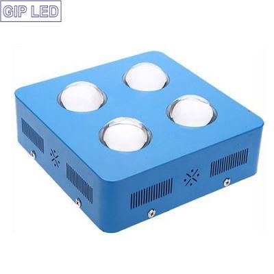 504W 1000W COB LED Grow Light with 126W Epistar Chips