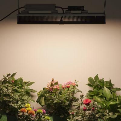 Full Spectrum High Power Adjustable Linear High Bay Strip Light 300W/400W/600W/700W/800W/900W/1000W LED Grow Lights
